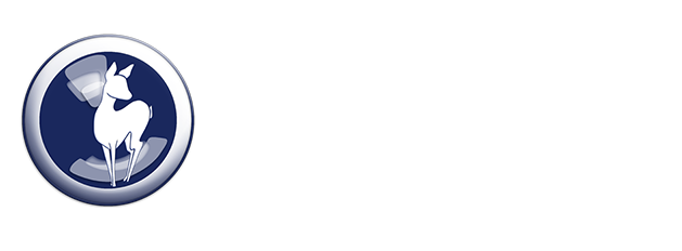 BlueReh Media Logo